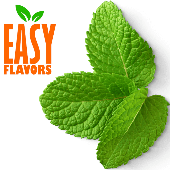 Easy Flavor Extrato Natural de Menta 10g