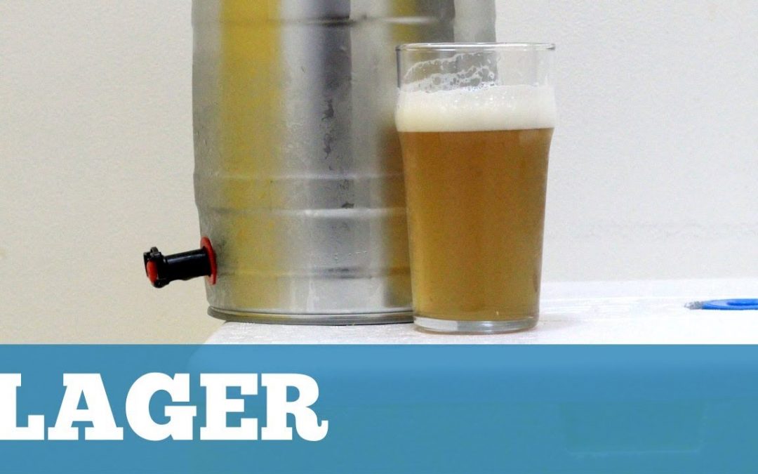 Com Fazer uma Cerveja Lager sem uma Geladeira